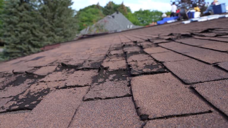 Best Storm Damage Roof Repair  in Plum Grove, TX